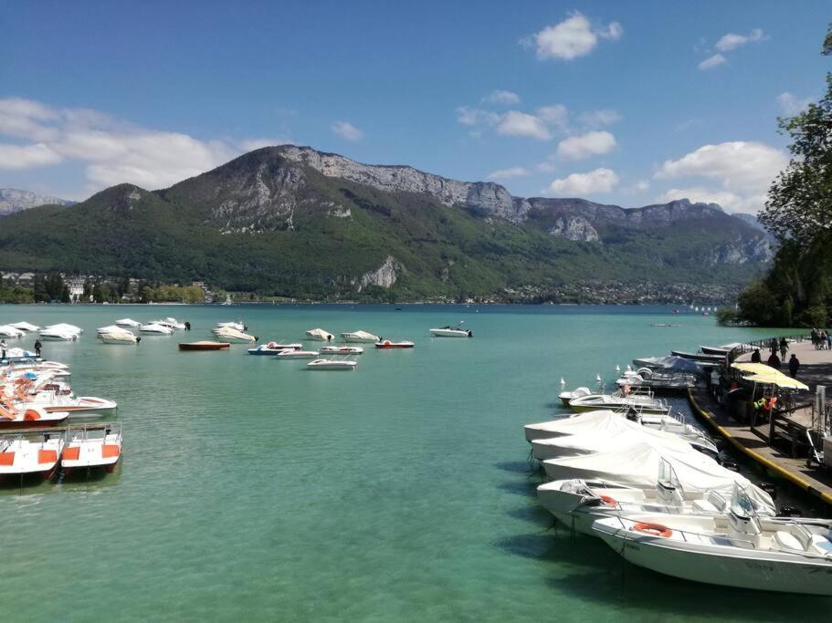 Cabana & Le Central - Proche Lac , Terrasse Et Parking อานซี ภายนอก รูปภาพ